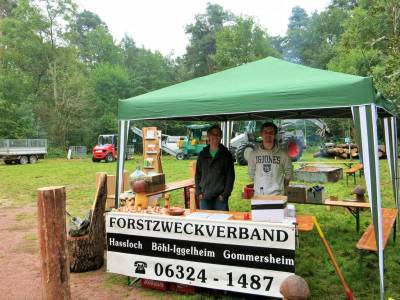 Stand des Forstzweckverbandes 